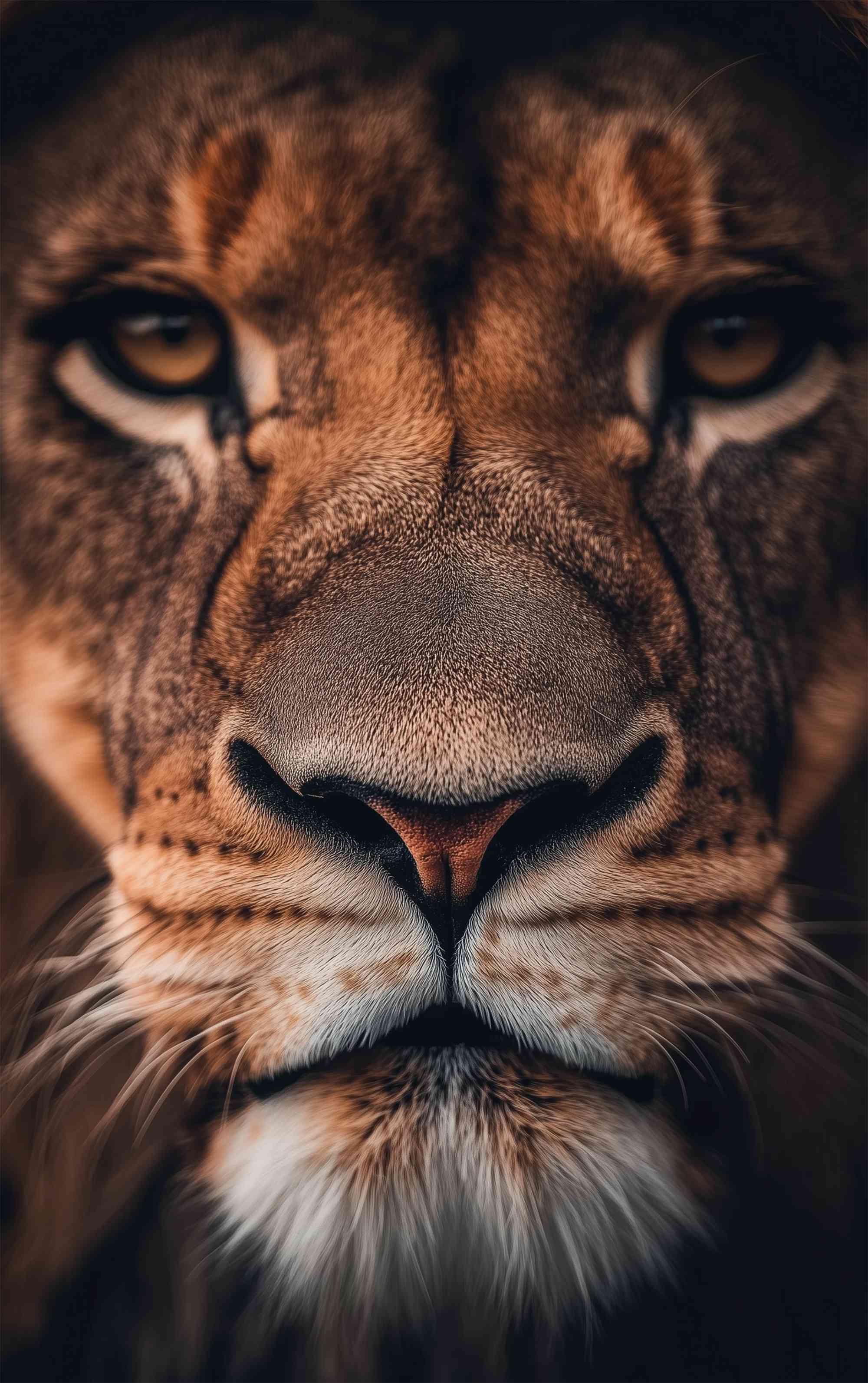 Lion Wallpaper – Majestic Portrait & Texture | MirrorLog